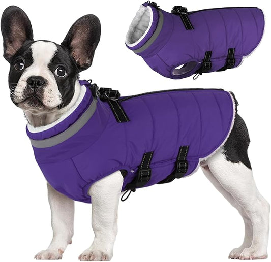 Dog Coat with Harness Built-in, Waterproof Reflective Fleece Lined - Warm Windproof Winter Jacket with Back Zipper, Cold Weather Snow Dog Coats - Purple - L
