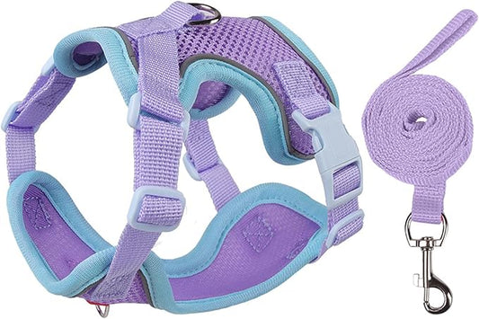 Cat Harness and Leash Set for Walking – Escape-Proof Reflective Vest for Cats and Small Dogs, Adjustable Soft Air Mesh with Pressure-Reducing Design, 4.92ft (Blue & Purple, M)