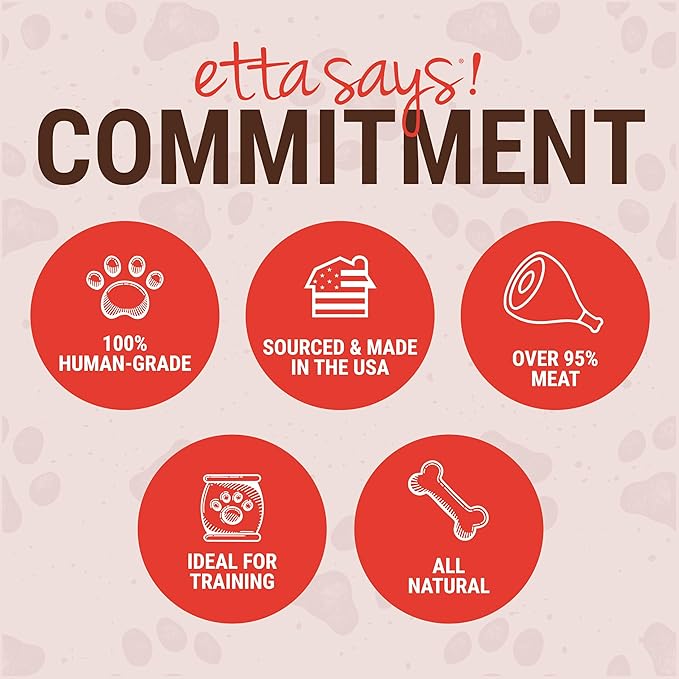 etta says! Yumm Sticks - Real Meat Beef Dog Jerky Treats - Human Grade - Made in The USA (12 Count Pack of 1)