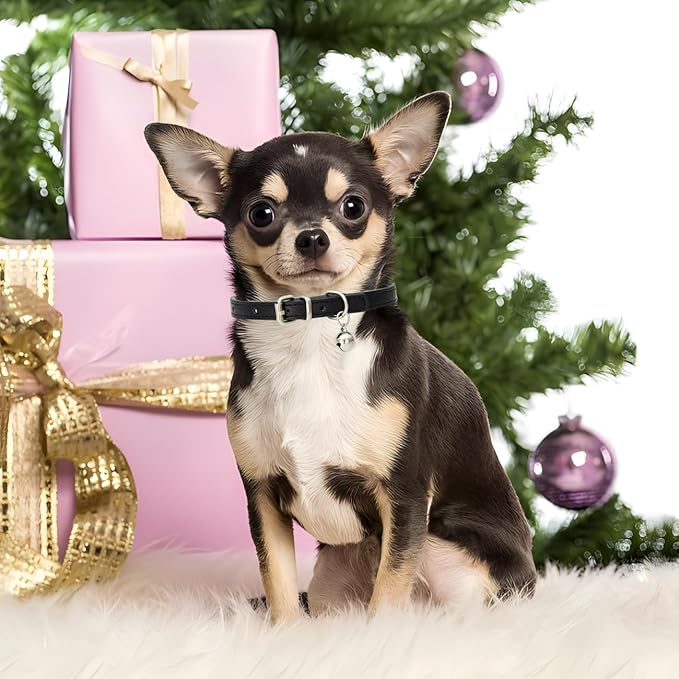 Gold Cat Collar with Bell, Soft Pu Leather Small Dog Collars Adjustable Buckle for XXS XS Extra Small Medium Tiny Female Male Boys Girls Pets Puppy Kitten Teacup Yorkie XX-Small