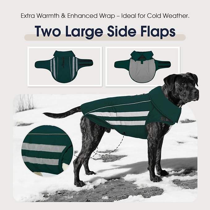 IECOii Dog Coat - Waterproof, Windproof Winter Coats for Light Rain & Snow Cold Weather, Reflective & Adjustable, Warm Fleece Lined, Dachshund, Green, Size M