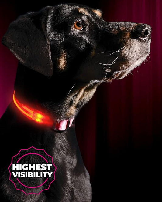 ILLUMISEEN LED Dog Collar USB Rechargeable - Bright & High Visibility Lighted Glow Collar for Pet Night Walking -Weatherproof, in 6 Colors & 6 Sizes (Pink Large)