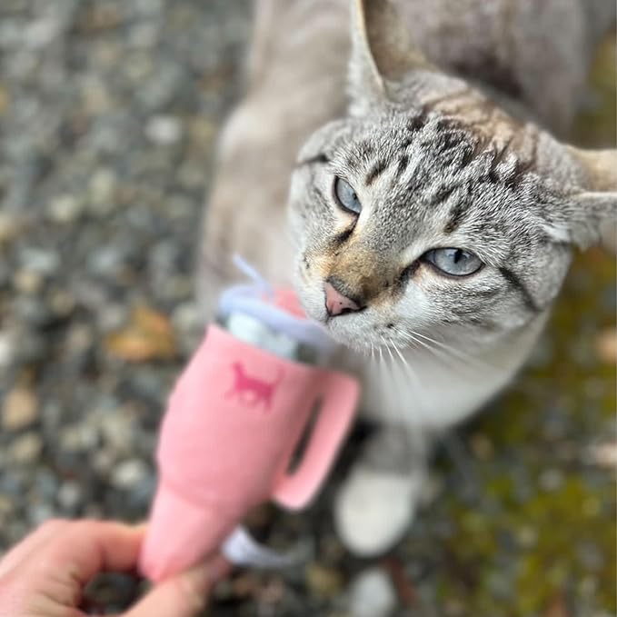 Kitty Cup Catnip Toy - Christmas & Birthday Cat Gift Toy with Catnip & Crinkle, Funny Stocking Stuffer for Girl Indoor Kitten (Chambray Blue)