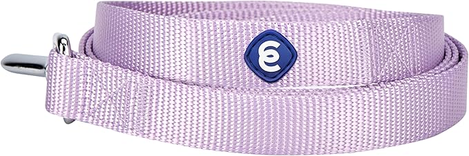 Blueberry Pet Essentials Lavender Dog Leash for Medium - 5' * 3/4" Dogs | Heavy Duty Nylon Lead | Lightweight Puppy & Cat Leash for Walking & Training