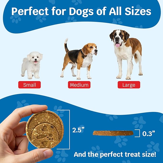 Shmush! Morning & Night Healthy Dog Biscuits – 100% All Natural Dog Treats Superfood with Blueberries, Colostrum & Moringa - Vet Formulated, Non-GMO, USA Made, Grain Free Cookies for Dogs - 14 Count