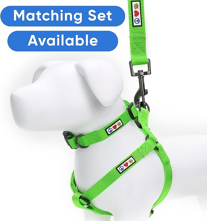 Pawtitas 6 FT Solid Color Leash Puppy Leash Dog Leash Comfortable Handle Dog Training Leash 6 ft Dog Leash Medium Dog Leash/Large Dog Leash Green Dog Leash