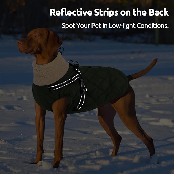 Queenmore Dog Jackets for Large Dogs, Dog Coat with Harness Built-in, Thick Fleece Lining Waterproof Jacket for Large Breeds, Back Zipper Pet Winter Jacket for Retriever, Labrador, ArmyGreen XL
