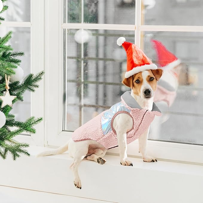 EMUST Warm Dog Jacket, Cozy Dog Fleece Coat with Leash Hole, Waterproof Reversible Winter Coats for Small Dogs, Pink, XS