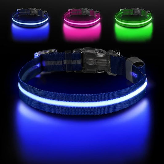 Light Up Dog Collar, Adjustable USB Rechargeable Glow in Dark Dog Collar ，Waterproof Dog Collars for Small Dogs (Blue, Small)
