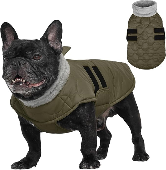Kuoser Dog Jacket, Winter Dog Coats for Medium Dogs, Cold Weather Coats Pet Clothes, Doggie Snow Jacket for Frech Bulldog, Boston Terrier, Green M