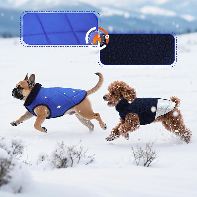 EMUST Warm Dog Jacket, Cozy Dog Fleece Coat with Leash Hole, Waterproof Reversible Winter Coats for Small Dogs, Royal Blue, XS