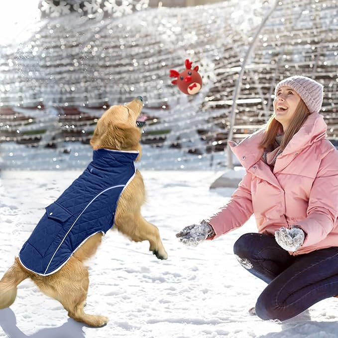 Malier Dog Winter Coat, Windproof Dog Cold Weather Coats with Real Pocket, Winter Extra Warm Pet Coat Fleece Jacket Reflective Clothes for Small Medium Large Dogs and Puppy (Blue, X-Small)