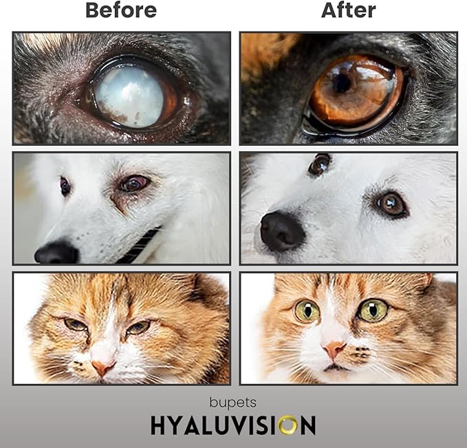 Hyaluvision Gel Eye Drops for Pets – 0.40% Hyaluronan, Relieves Dry Eyes & Infection, Soothes Allergy & Pink Eye, Lubricant, Hydration & Tear Stain Remover, 0.68 fl oz