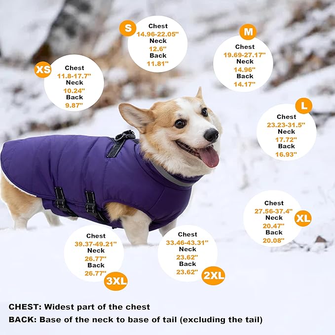 Small Dog Coat with Harness Built-in, Waterproof Reflective Fleece Lined - Warm Windproof Winter Jacket with Back Zipper, Cold Weather Snow Dog Coats - Purple - XS