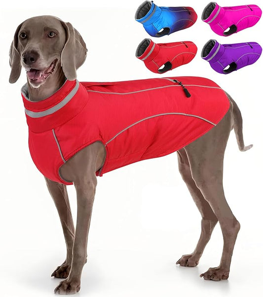 Doglay Dog Winter Coat, Waterproof Dog Jacket with Pocket, Reflective Turtleneck Pet Winter Jackets, Warm Puppy Snow Jacket for Small Medium Large Dogs