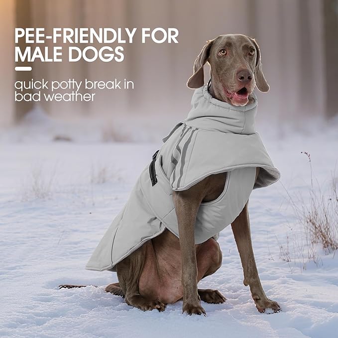 FUAMEY Dog Cold Weather Coats,Dog Winter Jackets for Small Dogs Warm Dogs Coat with Reflective Strips Waterproof Pet Snowsuit Thick Paded Pets Vest for Yorkshire Chihuahua Grey S