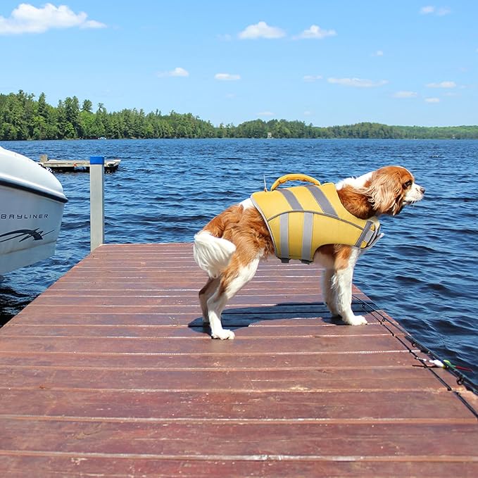 Kuoser High Visibility Dog Life Jacket with Reflective Stripes - Adjustable Ripstop Pet Lifesaver with High Flotation for Small, Medium & Large Dogs