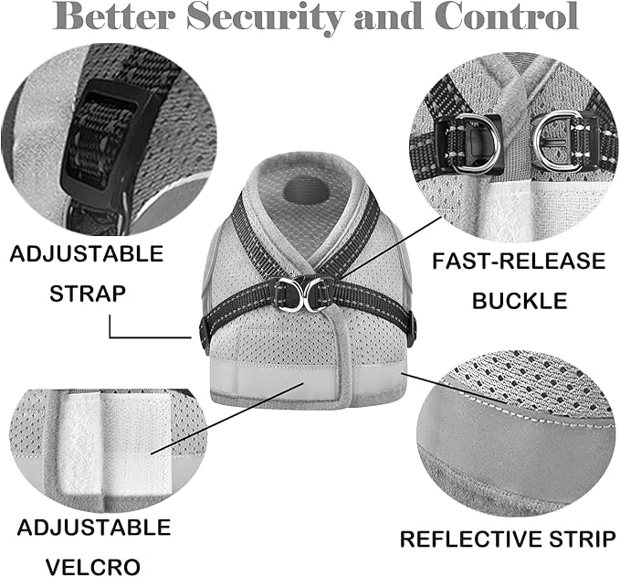 Cat Harness and Leash for Walking, Kitten Escape Proof Harnesses, Adjustable Reflective Puppy Harness with Leashes Set, Easy Adjustable Soft net Breathable Pet Safety Vest M (Chest: 12" - 14") Grey
