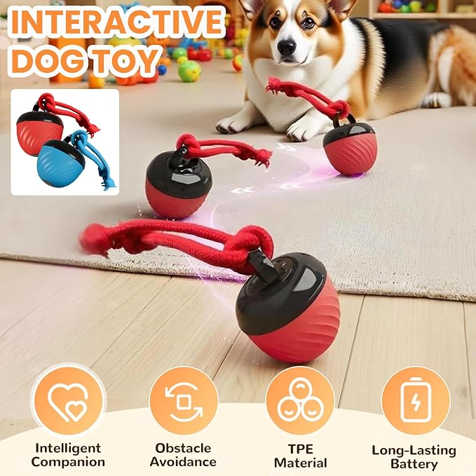 Interactive Dog Toys Ball, 2026 New Smart Pet Puppy Ball with Ropes, Random Path Electric Automatic Moving and Rolling Dogs Toy, for Small Medium Large Dogs Daily Training (Blue+Red)