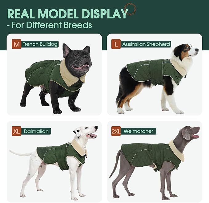 Kuoser Dog Coat, Extra Warm Dog Jacket Quilted Windproof Pet Cold Weather Coats for Small Dogs, Fleece Lining Turtleneck Puppy Snowsuit Reflective Adjustable Winter Clothes, Green S