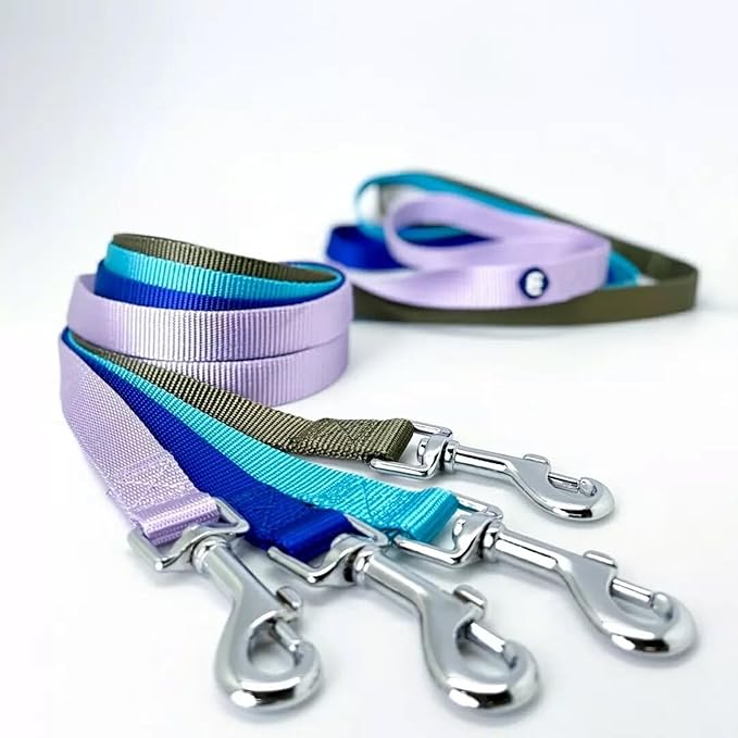 Blueberry Pet Essentials Orange Vermilion Dog Leash for Medium - Large - 4' * 1" Dogs | Heavy Duty Nylon Lead | Lightweight Puppy & Cat Leash for Walking & Training