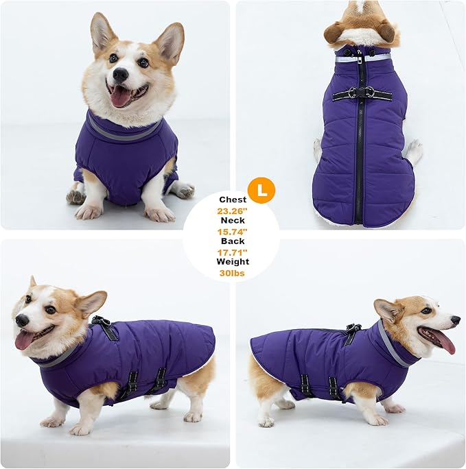 Small Dog Coat with Harness Built-in, Waterproof Reflective Fleece Lined - Warm Windproof Winter Jacket with Back Zipper, Cold Weather Snow Dog Coats - Purple - XS