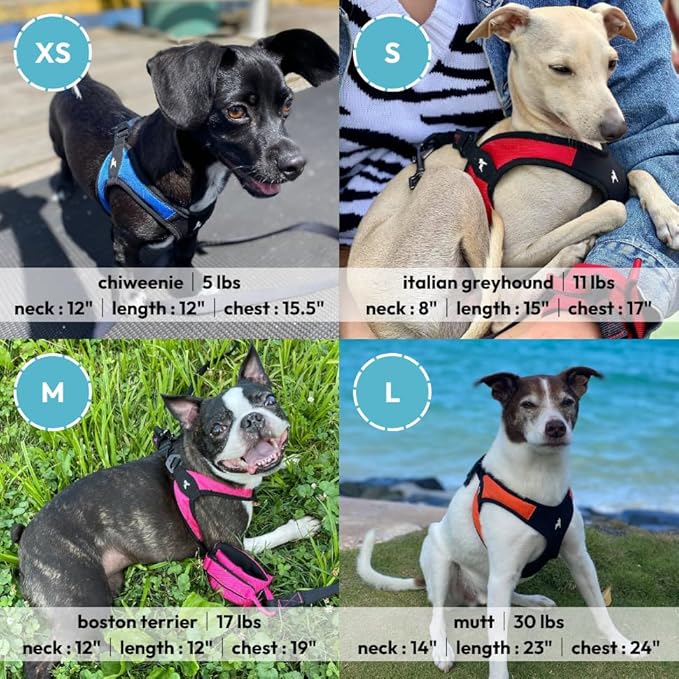 Gooby Escape Free Easy Fit Harness - Black, X-Small - No Pull Step-in Patented Small Dog Harness with Quick Release Buckle - Perfect On The Go No Pull Harness for Small Dogs or Medium Dog Harness