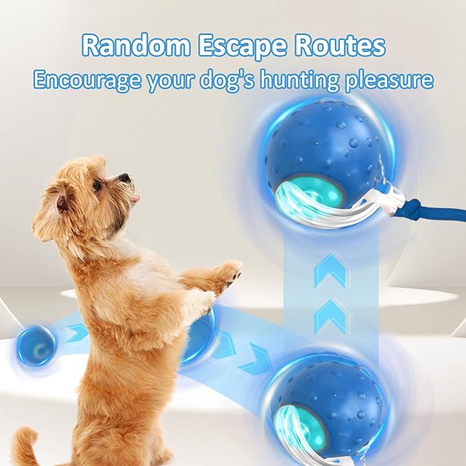 Tiny Fetch Dog Toy - Interactive Dog Toys, 360°Smart Automatic Rolling Electric Dogs Ball Toy with Birdsong, Automatic Obstacle Avoidance, Rechargeable, Boredom Relief for Dogs & Cats (Red*1 PC)