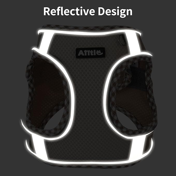 AIITLE Dog Harness and Leash Set - Ultra-Comfortable XXS-XL Vest with Strong Magic Tape & Glow-in-Dark Reflective Strips, Chafe-Free for Teddy, Schnauzer (Orange, M)