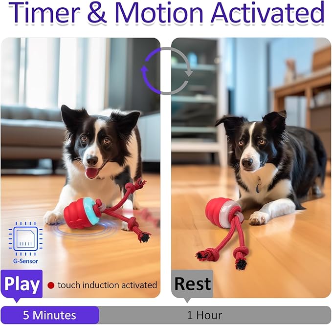 Interactive Dog Toys with Motion Activated, Squeaky Dog Toy Active Rolling Ball Wicked Ball for Daily Training