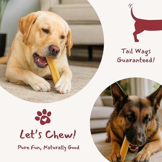 Majestic Pet Himalayan All-Natural Yak Cheese Dog Chews Made with 100% Cows Milk- Long Lasting Dental Chew for Dogs - Healthy Pet Treats (Dental & Bone Support, XL, 1 Pack)