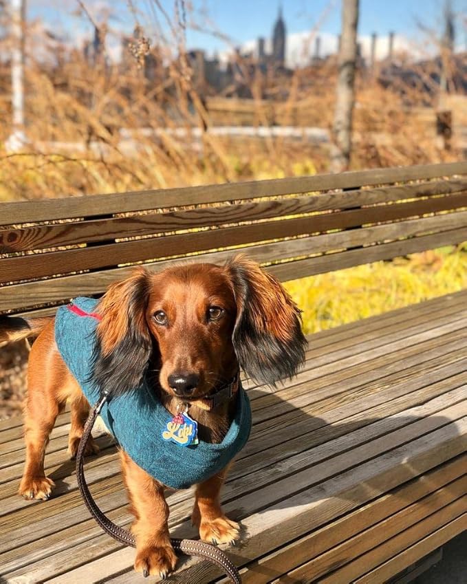 Gooby - Zip Up Fleece Vest, Fleece Jacket Sweater with Zipper Closure and Leash Ring, Turquoise Wash, Large