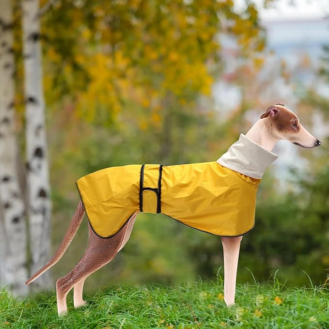 Dog Raincoat with Reflective Bar, Rain/Water Resistant, Adjustable Vest - Dog Raincoats for Greyhounds, Lurchers and Whippets - Yellow - XXL