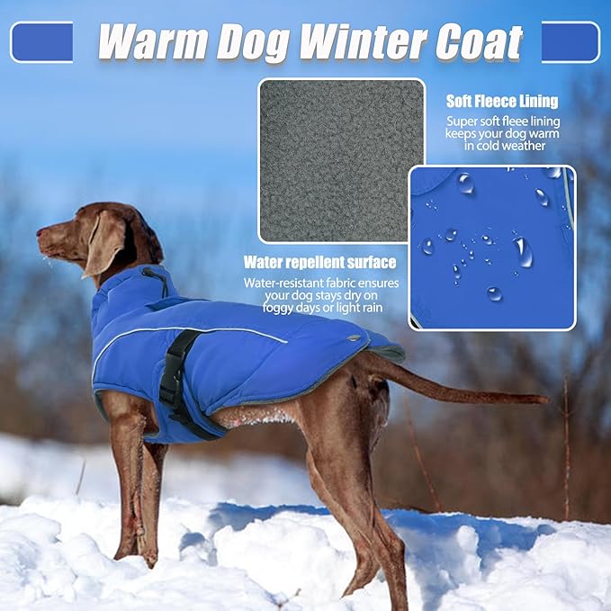 DENTRUN Medium Dog Winter Jacket - Warm Reflective Windproof Coat, Adjustable Neck & Snap Closure, Water Repellent Thick Fleece Vest, Fleece Lined for Beagle Pug, Blue, M