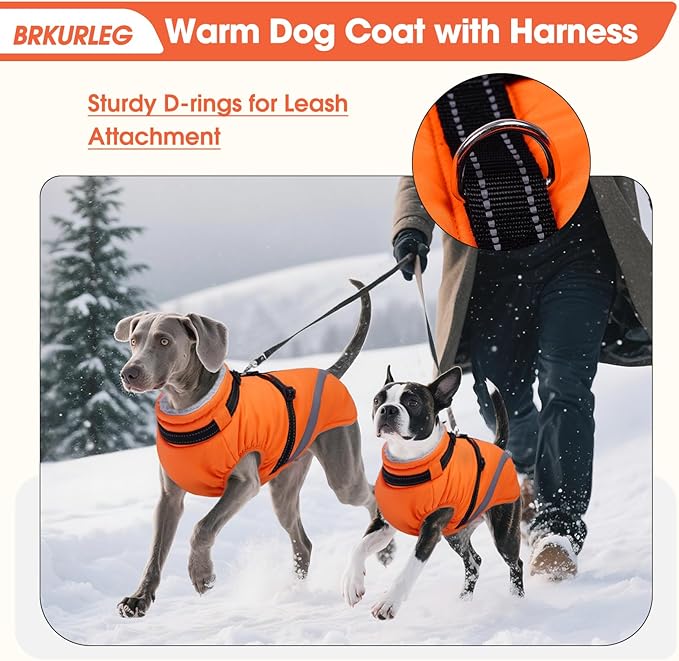 BRKURLEG Dog Winter Jackets for Large Dogs, Dog Coat with Harness Built in, Dogs Snowsuits with Zipper, Waterproof Windproof Pet Puffer Jacket Fleece Vest for Beagle, Pitbull, Orange XL