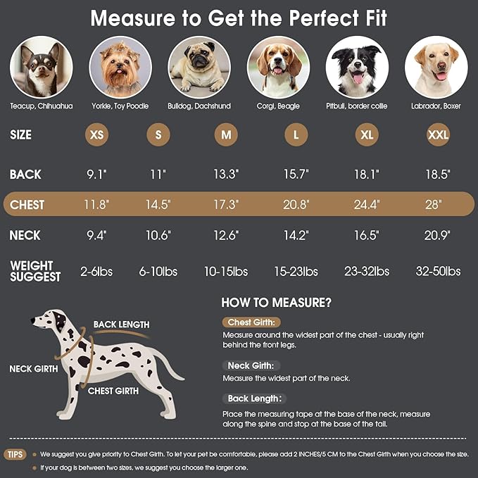 Queenmore Dog Sweaters for Medium Dogs,Soft Dog Sweater - Heavy Knitting Turtleneck Solid Pullover with Sleeve - Warm Winter Pet Coat for Casual Occasions/Christmas/Festive - Grey,M