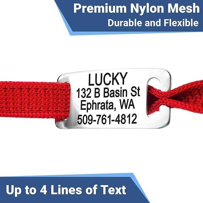 GoTags Cat Collars with Personalized Tag, Breakaway Collar with Safety Buckle Matching Bell, Engraved Custom with Name and Phone, Adjustable for Cats and Kitten, (Blue with Nameplate)