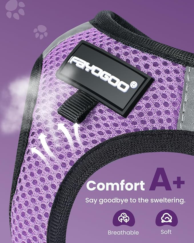 FAYOGOO Cat Harness, Cat Leash and Harness Set for Walking Escape Proof, Harness for Small Cats/Small Dogs, Large Kitten/Puppy Harness and Leash, Harness for Cats S-XXL(Modern Violet, Large)