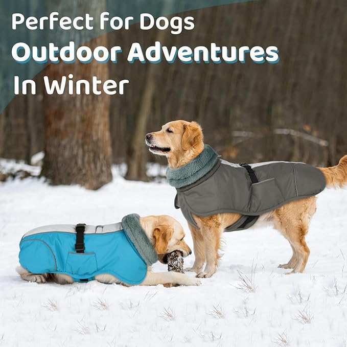 Queenmore Dog Winter Jacket, Fleece Lining Pet Vests for Winter, Dog Cold Weather Coats, Dogs Coat for Medium Puppy Waterproof, Pet Snowsuit with Leash Hole, Blue, M
