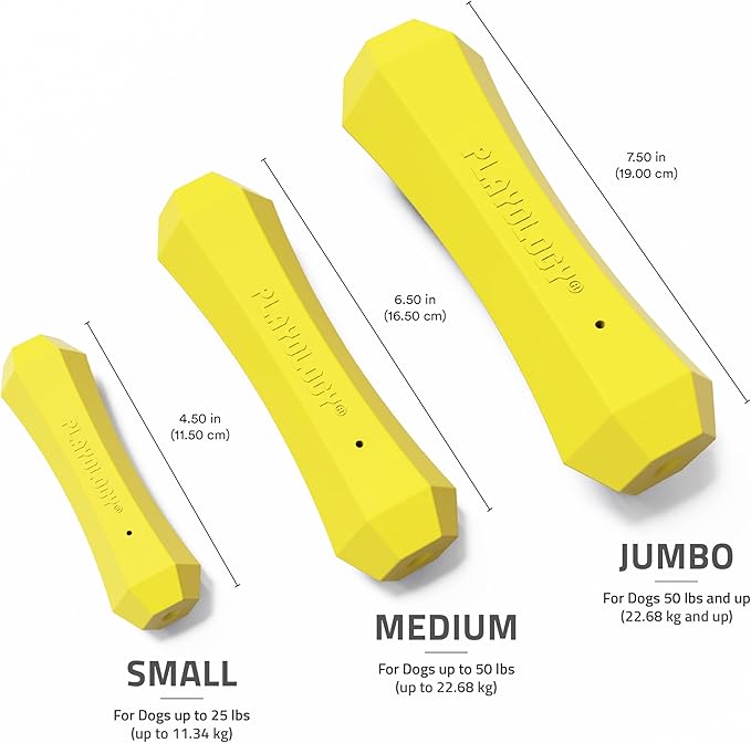 Playology Dog Toys | Durable Squeaky Chew Stick for Dogs (Value 2-Pack) | Medium Chicken Scented Toy - Easy to Clean and Made from Non Toxic Materials