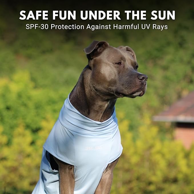 Spark Paws Sunblock Dog T-Shirt, SPF30 Protection, Lightweight Breathable Quick Dry for Dogs with Sensitive Skin - Blue & Mint (Set of 2) - 4XL