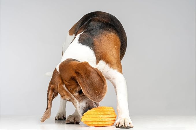 Squeaky Dog Plush Toy, Bite_Stick Collection, 8'', for Small and Medium Dogs (Carrot)