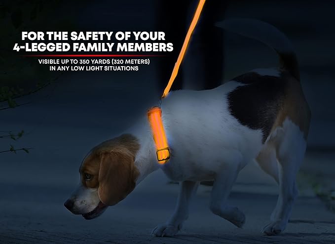 ILLUMISEEN LED Dog Collar USB Rechargeable - Bright & High Visibility Lighted Glow Collar for Pet Night Walking - Weatherproof, in 6 Colors & 6 Sizes (Orange Large)
