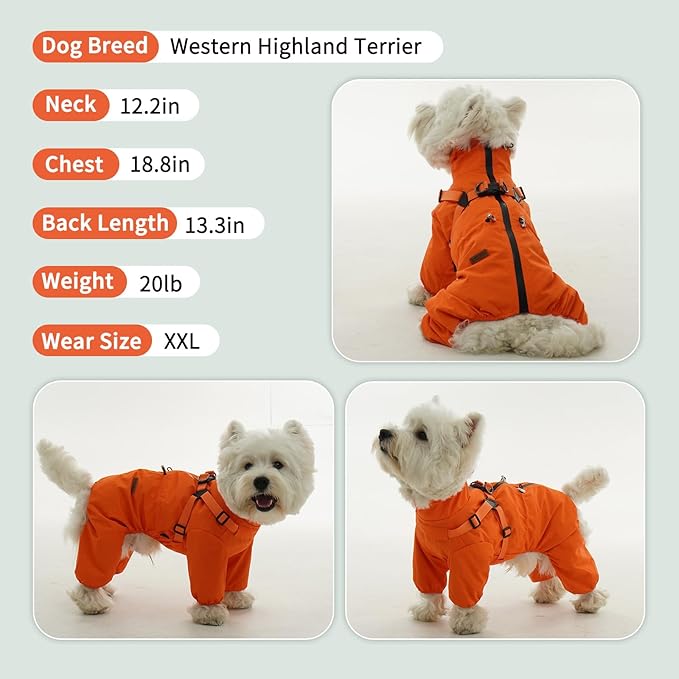 BRKURLEG Dog Raincoat for Small and Medium Dogs, Small Dog Rain Jacket with Harness Built in, Waterproof 4 Legs Pet Raincoats, Puppy Outdoor Jacket with Reflective Strip, Orange, XXXL
