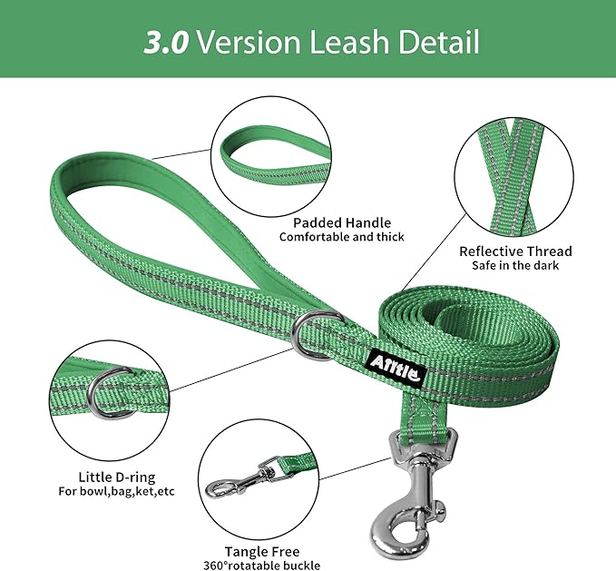 AIITLE Step in Dog Harness and Leash Set - Summer No Pull Escape Proof Vest Harnesses with Soft Mesh and Reflective Bands, Adjustable Pet Outdoor Harnesses for Small and Medium Dogs Green M