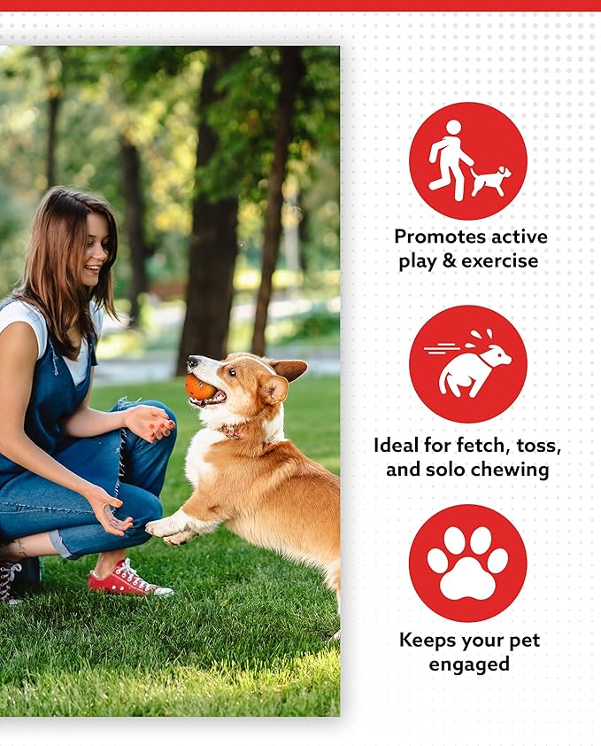 ALPI Chomp Ball - Durable Chew Toys for Dogs & Other Pets - Stimulating Dog Toys for Aggressive Chewers - Soft Dog Chews - 3-Pack, Assorted