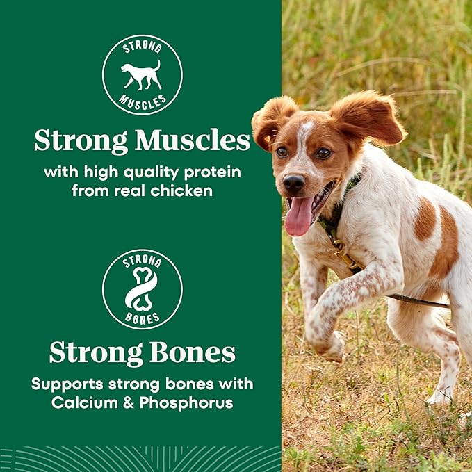 Nutro Natural Choice Chicken & Brown Rice Adult Small Bites Dog Food Recipe, 5 lb. Bag