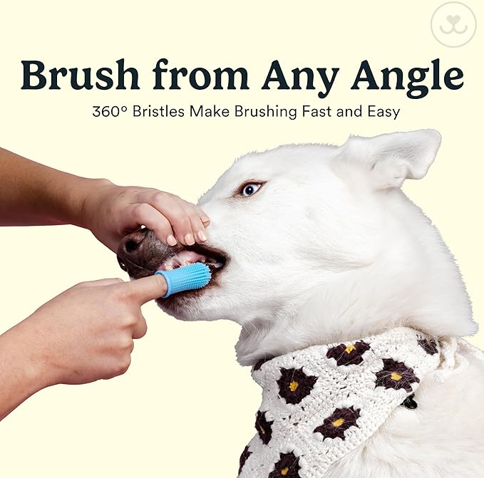 Jasper Dog Toothbrush, 360 Degree Pet Tooth Brushing Kit, Cat Toothbrush, Canine Dental Care & Teeth Cleaning Kit, Pet Finger Tooth Brush, Use with Dog Toothpaste, 10-Pack Blue