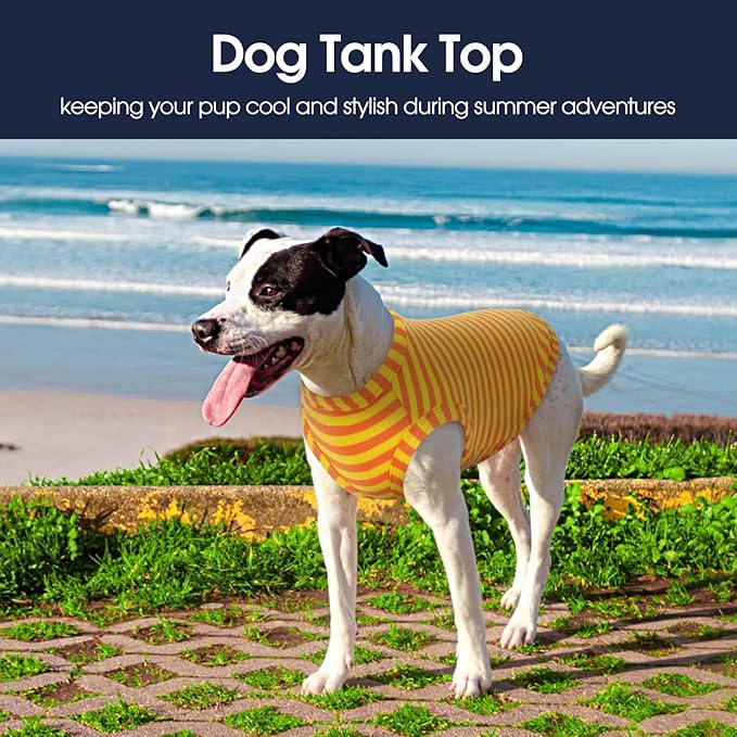 IECOii 2 Pack Extra Large Dog T-Shirt,Breathable & Lightweight Dog Tshirts Vest for Summer Wearing -Fade-Resistant, Easy to Put On – Machine Washable,Fit for Doberman Great Dane,Orange+Stripes,4XL