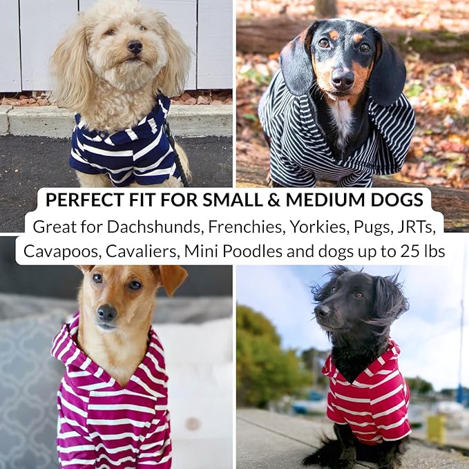 DJANGO Dog Hoodie – Warm, Lightweight, Soft & Stretchy Dog Sweater with Hood, Harness Hole & Elastic Waistband – Cozy Sweatshirt for Small Dogs up to 25 lbs, Dachshunds & Puppies – Boysenberry, Small